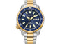CITIZEN PROMASTER DIVE AUTOMATIC - "FUGU" BLUE DIAL STAINLESS STEEL WATCH